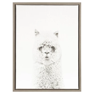 24" X 18" Hairy Alpaca Framed Canvas Art - Uniek 5 24" X 18" Hairy Alpaca Framed Canvas Art - Uniek - Image 3