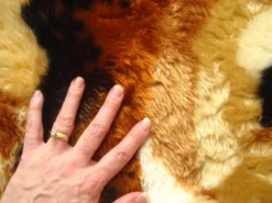 Walk On Me Faux Fur Super Soft Kids Lion Rug Tufted With Non-slip Backing Area Rug 11 Walk On Me Faux Fur Super Soft Kids Lion Rug Tufted With Non-slip Backing Area Rug -Children Furniture Store GUEST 26124660 d31a 4512 a49a 0d9a81616990