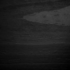 Twin Fakto Solid Wood Bunk Beds Matte Black - South Shore -Children Furniture Store GUEST 434e89c4 0424 4882 803c 016cb10613e9