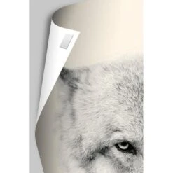 Trends International Disney Pixar Turning Red - Teaser One Sheet Unframed Wall Poster Prints -Children Furniture Store GUEST 56d31d4e 82a0 4384 abb9 92c9c4c39526