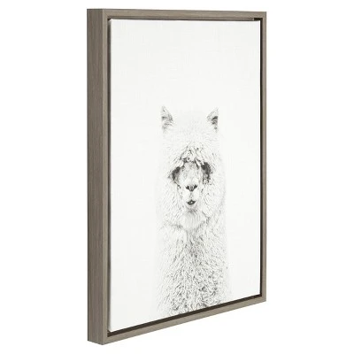 24" X 18" Hairy Alpaca Framed Canvas Art - Uniek 3 24" X 18" Hairy Alpaca Framed Canvas Art - Uniek