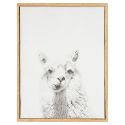 24" X 18" Alpaca Framed Canvas Art - Uniek 6 24" X 18" Alpaca Framed Canvas Art - Uniek - Image 4