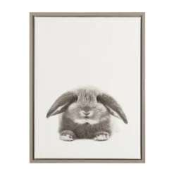 24" X 18" Rabbit Framed Canvas Art - Uniek 9 24" X 18" Rabbit Framed Canvas Art - Uniek -Children Furniture Store GUEST bb38d7de 7144 440b aff3 bd2a5477e6cc