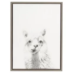 24" X 18" Alpaca Framed Canvas Art - Uniek 8 24" X 18" Alpaca Framed Canvas Art - Uniek -Children Furniture Store GUEST bd86ad66 d695 4b4e aa16 063fe31cd520