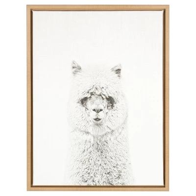 24" X 18" Hairy Alpaca Framed Canvas Art - Uniek 6 24" X 18" Hairy Alpaca Framed Canvas Art - Uniek - Image 4