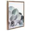 Succulents Framed Canvas Art Gold (24"x18") - Uniek -Children Furniture Store GUEST ef411529 7bb6 49e6 ad39 abaa4e6e351d